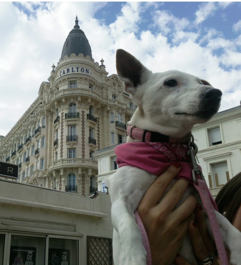 Vacances dans le Sud, 2° partie! Photo175