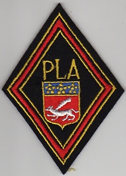 Petite identification d'un losange militaire "PLA" Pla10