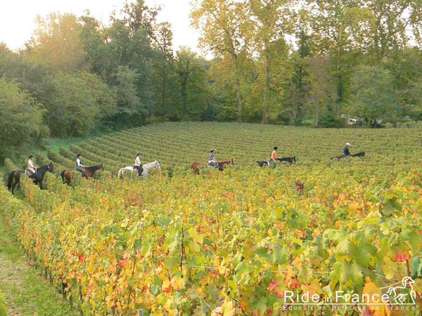 Bordeaux ‘người đẹp ngủ quên’ của nước Pháp Bordea13