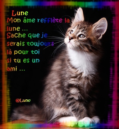 Atelier by Lune [0/4] Lune_110