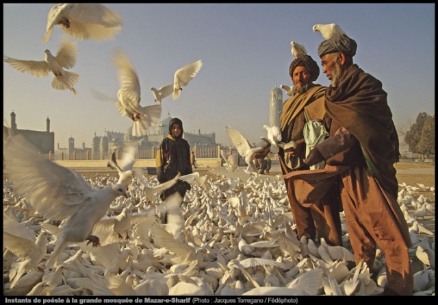 L'Afghanistan - Paysages et musique  Afghan10