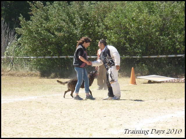 hollandais - Training Days : W.E du Berger Hollandais à  Bourg St Andéol  (07)  Dimanc19