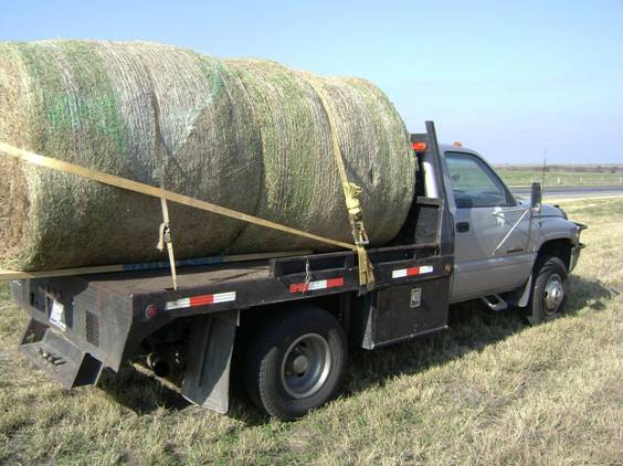 hay forsale Hay11