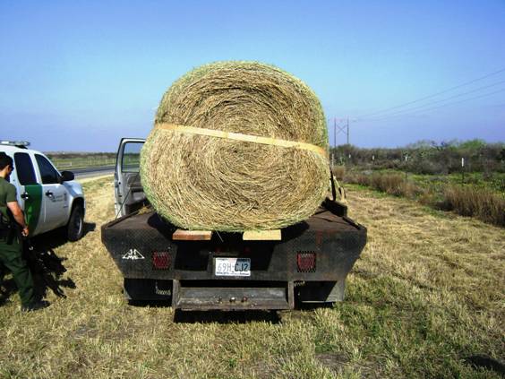 hay forsale Hay110
