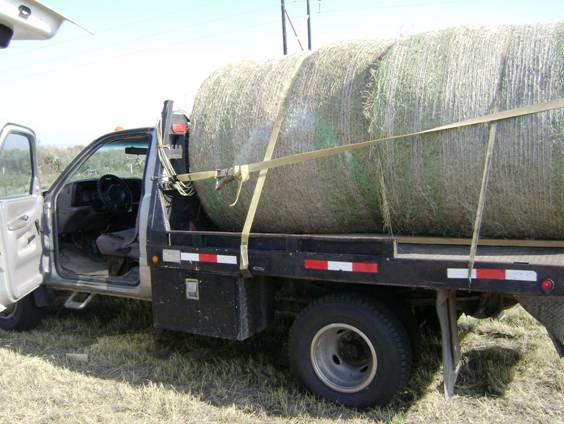 hay forsale Hay210