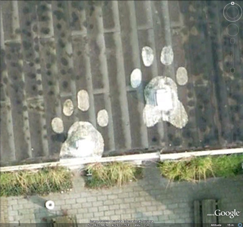 Dessins de pattes d'ours découvertes dans Google Earth Griffe11