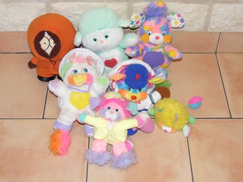 [Collection Membre]    Bisounours Popples.  - Page 2 Dscf6713