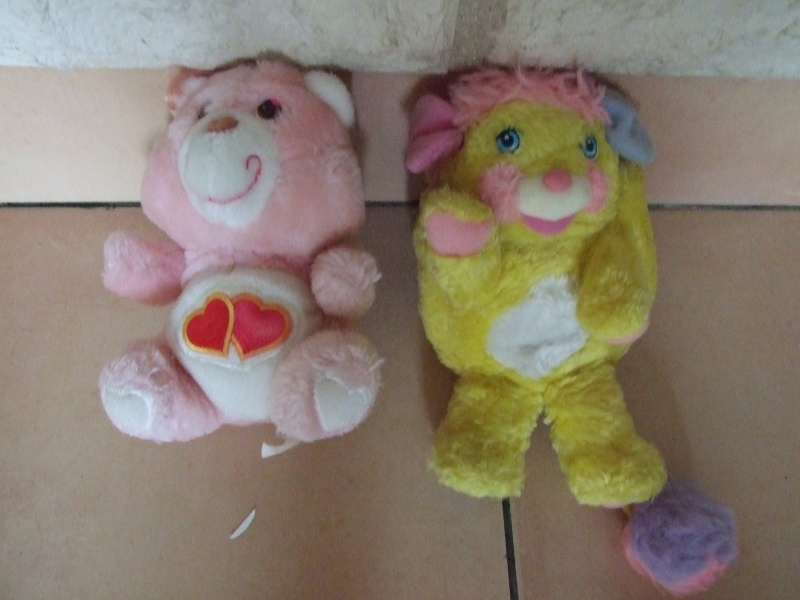[Collection Membre]    Bisounours Popples.  - Page 2 Dscf6721