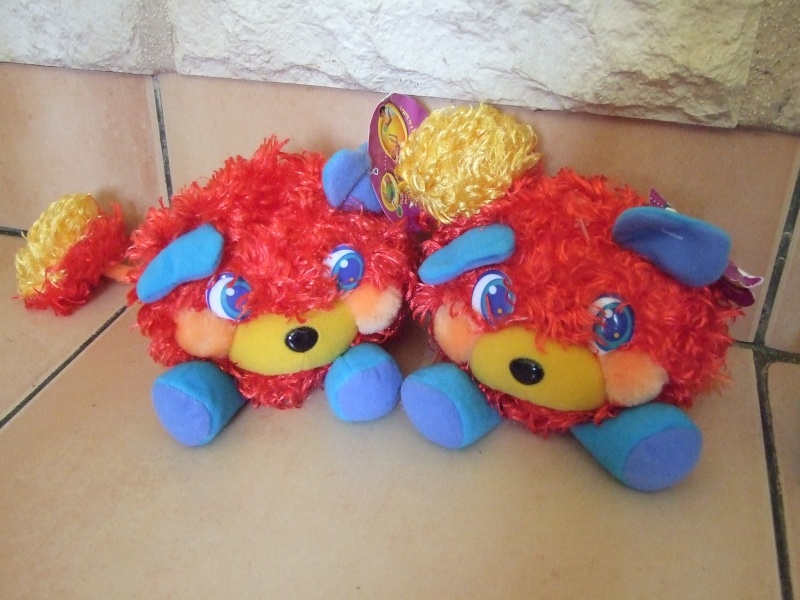 [Collection Membre]    Bisounours Popples.  - Page 2 Dscf6825