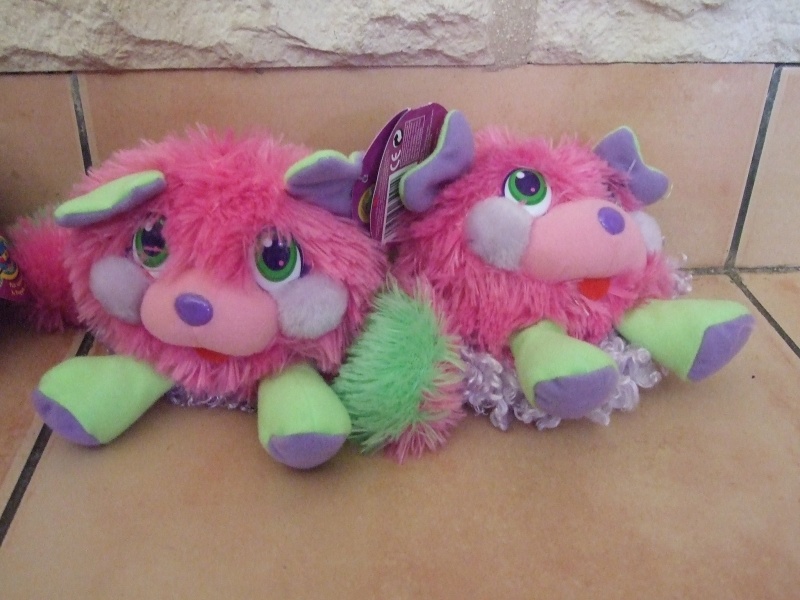 [Collection Membre]    Bisounours Popples.  - Page 2 Dscf6826