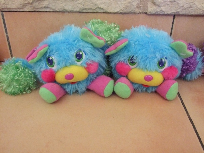 [Collection Membre]    Bisounours Popples.  - Page 2 Dscf6827