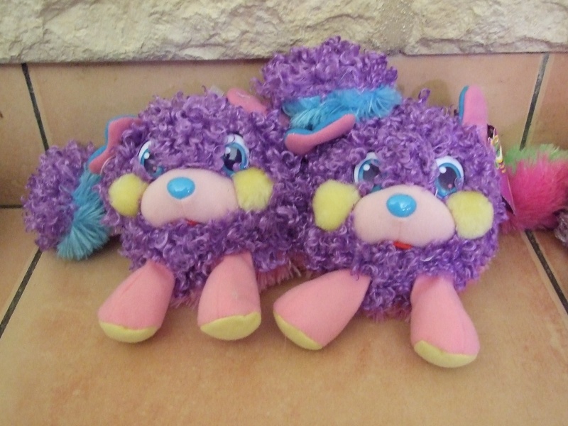 [Collection Membre]    Bisounours Popples.  - Page 2 Dscf6828