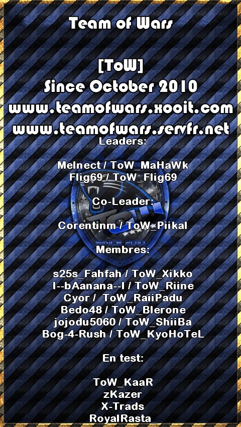 Team of Wars Affich11