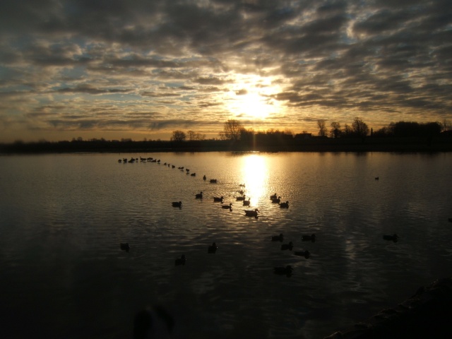 concours photo : un couché de soleil a la hutte  Dscf1510