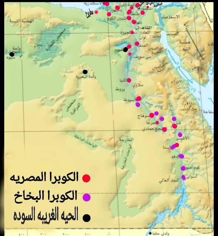 التوزيع الجغرافي للكوبرا المصرية و الكوبرا النوبية البخاخ والحية السودة الغريبة Aoio_a10