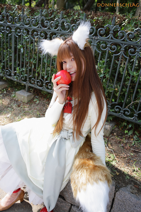 Spice and wolf 8870_s10