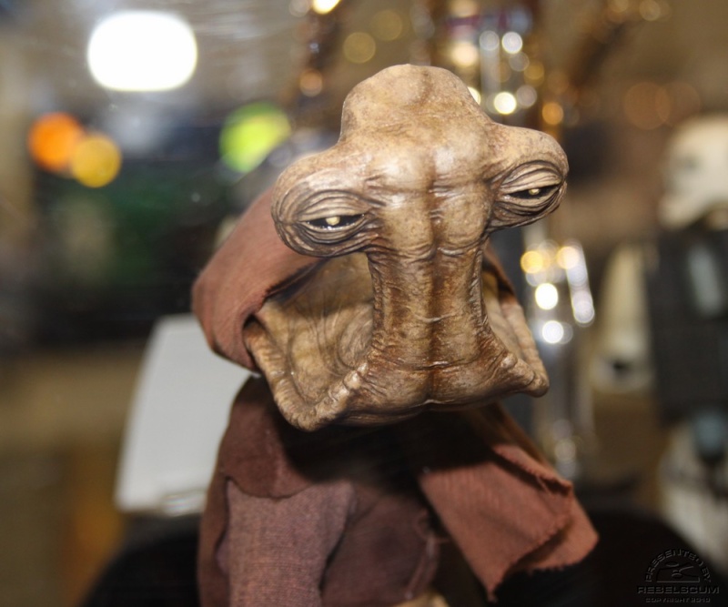 Hammerhead - Momaw Nadon - 12' - Star Wars Sideshow Img_0415