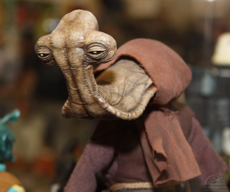 Hammerhead - Momaw Nadon - 12' - Star Wars Sideshow Img_0417