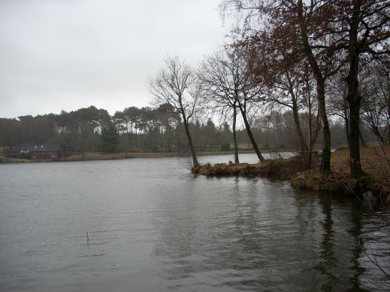 Etang de La Roche à Marsac-sur-Don Dscn2218