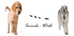 Animals W0rld Ani2_b10