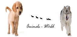 Animal's W0rld Ani2_b11