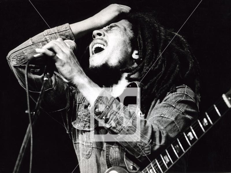 Iconic Music Genious Bob Marley: 1945-1981".  419-5010