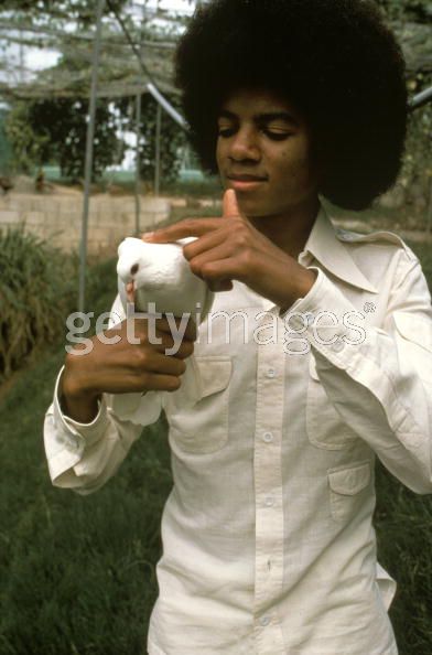 Michael Jackson and Bob Marley sitting under a tree in Jamaica 84884810