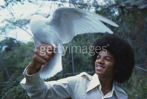 Michael Jackson and Bob Marley sitting under a tree in Jamaica 85001710