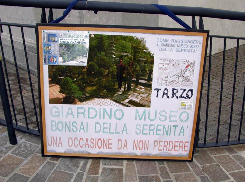 MOSTRA DEL BONSAI del 30 settembre a TARZO. 2012mo10