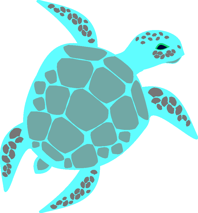  Schildkröte colorieren Umfrage  Kroete12