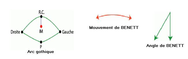 4 - Introduction à l’occlusion thérapeutique Sans_t10