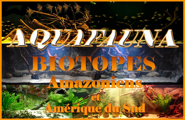 Aquafauna Biotopes Amazoniens et Amérique du Sud