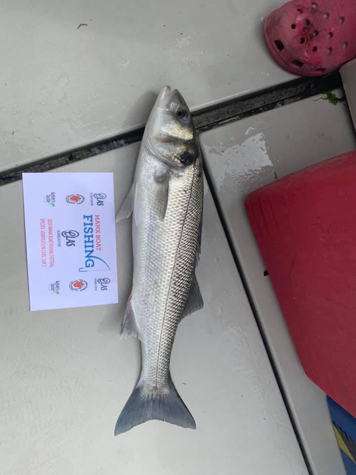 2019 ELAS BUSINESS SUPPORT SPONSORED FISHING FESTIVAL REPORT 66269210