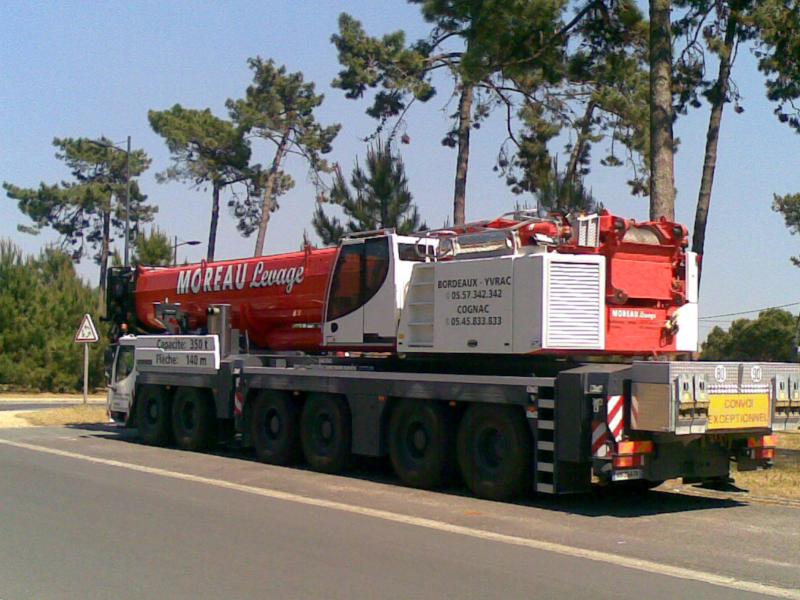 Grues au cap Ferret 22052010