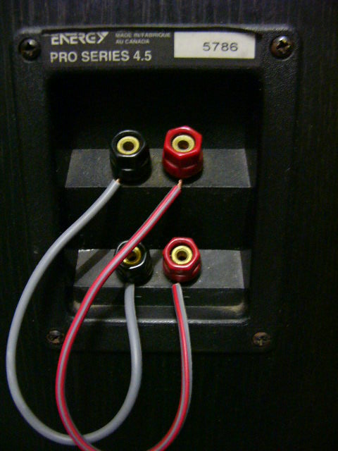 Energy Pro Series 4.5 Tower Speaker [used]SOLD P1060913