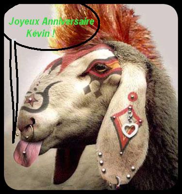 Joyeux Anniversaire Kevin