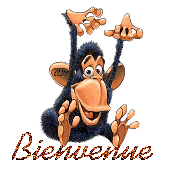 Un nouveau de belgique 12363415