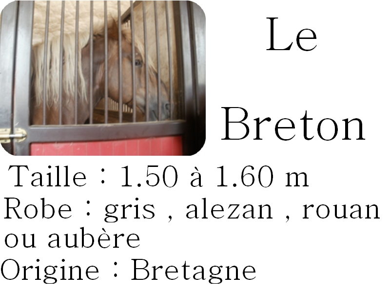 Le breton  Articl10