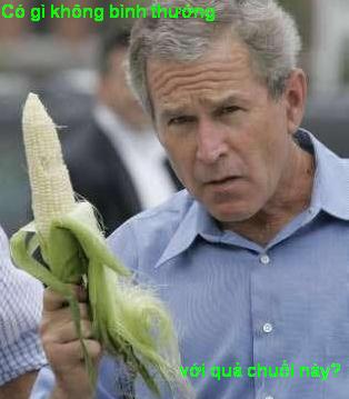 Bush và chiến tranh Bush210