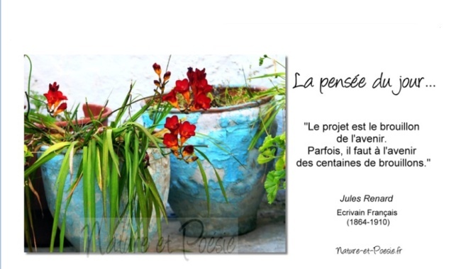 citation - La pensée du jour et une petite citation de la part de Josiane 37445211