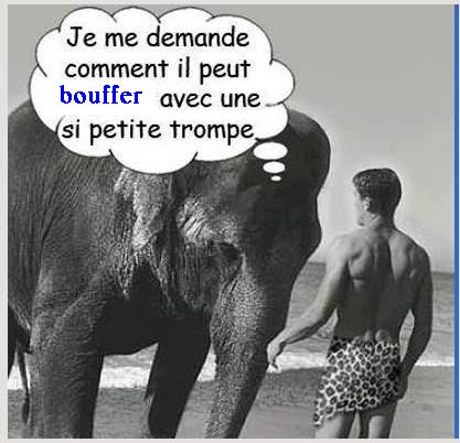 Humour en image ... - Page 29 Tarzan11