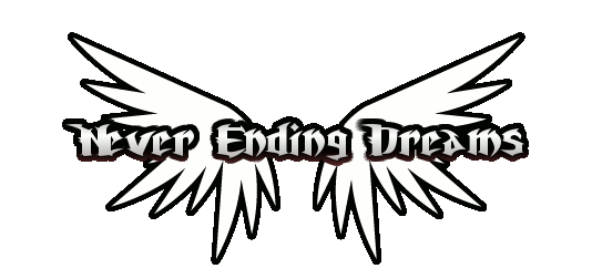 Never Ending Dreams Logo312