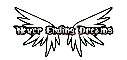 Never ending Dreams Logo312