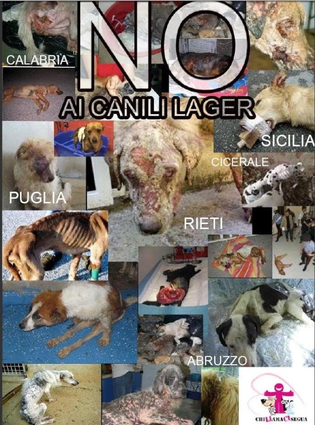 Stop ai canili lager 1264110