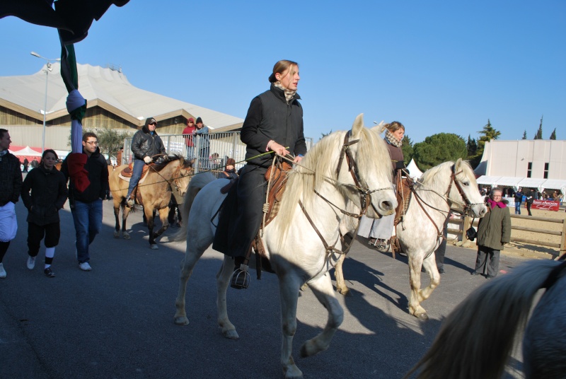 Cheval Passion, le salon du cheval à Avignon Dsc_4431