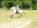 [b]Vend poney C, PFS, 5ans pour CCE ou CSO[/b] 25535310