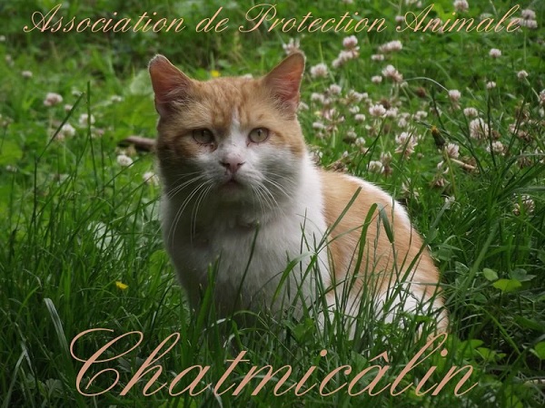 Chatmicâlin