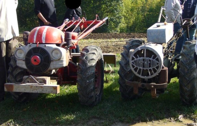 tracteur - 4ème rassemblement de vieux tracteur le 07 octobre Meuse - Page 2 P1080955