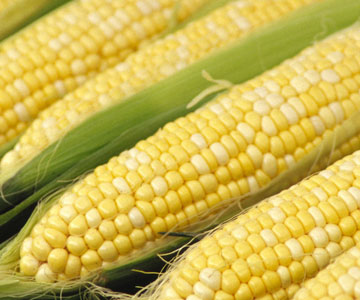 Top 100 Foods for Health (a must read) - Page 3 Corn10