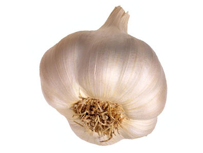 Top 100 Foods for Health (a must read) - Page 3 Garlic10